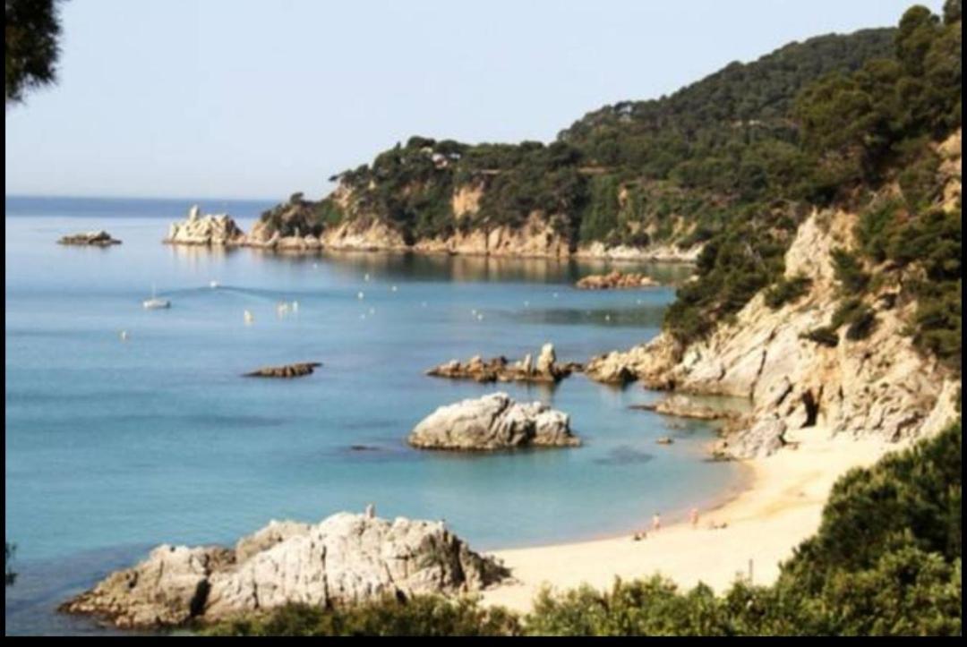 Seahomes Vacations, La Casa Blue Mediterranean Lifestyle بلانيس المظهر الخارجي الصورة