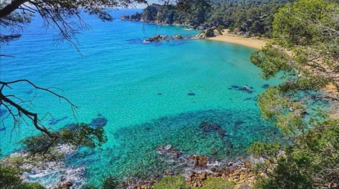 Seahomes Vacations, La Casa Blue Mediterranean Lifestyle بلانيس المظهر الخارجي الصورة